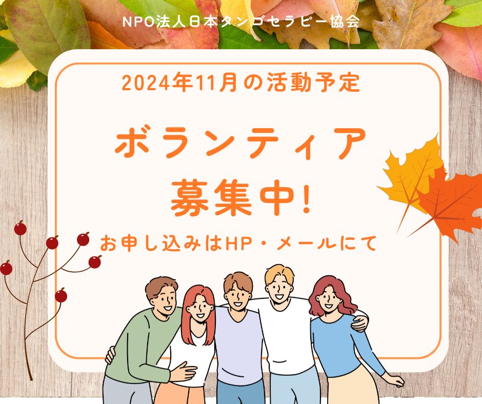 【11月の活動予定】