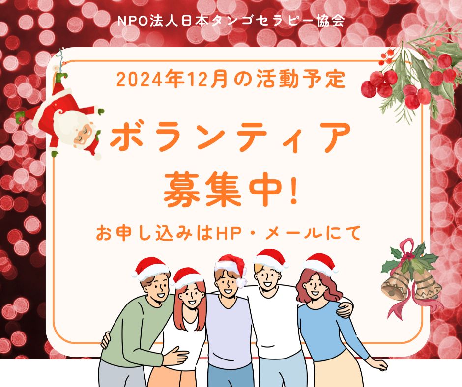 【12月の活動予定】